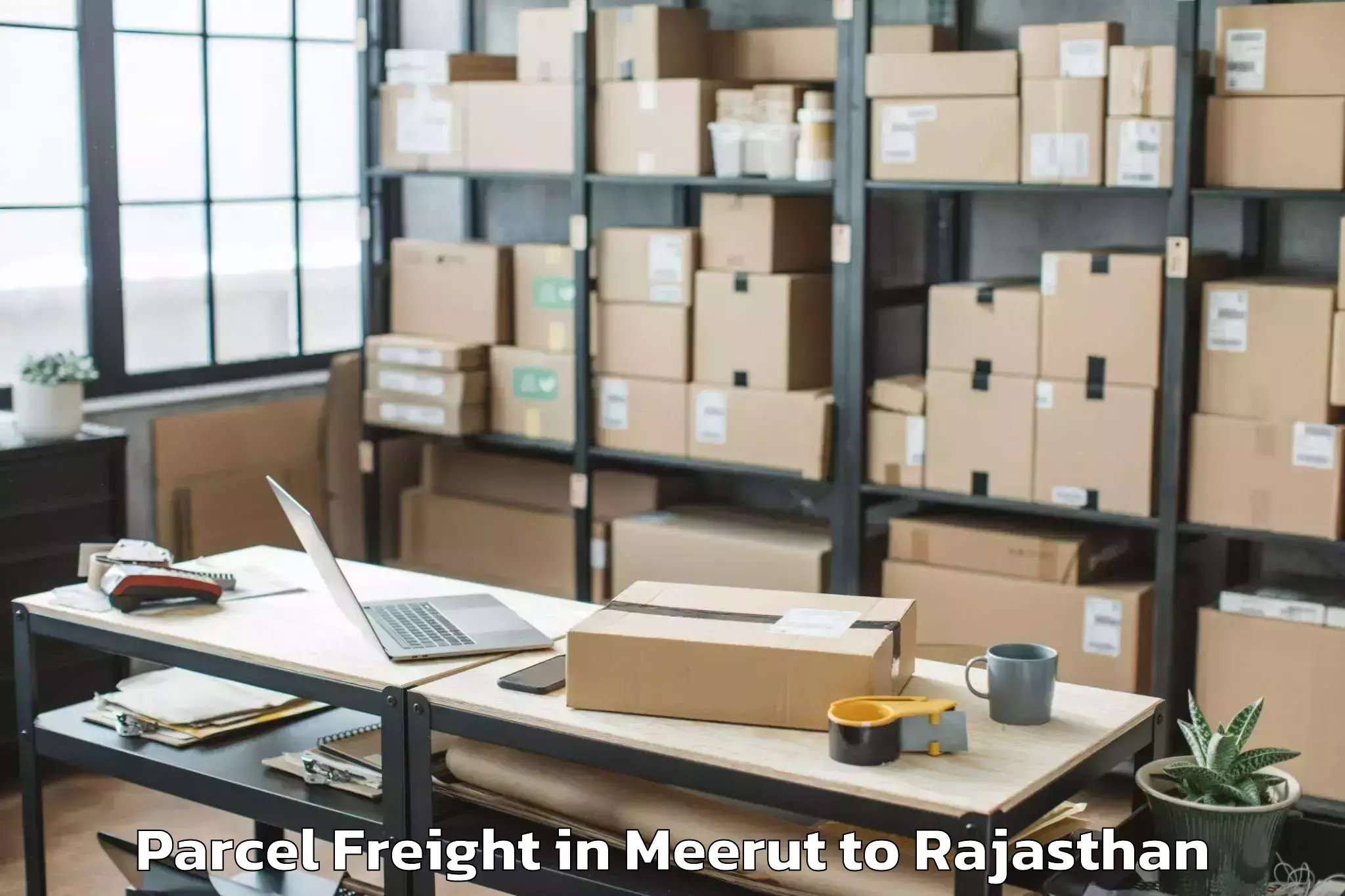 Hassle-Free Meerut to Gangapur Bhilwara Parcel Freight